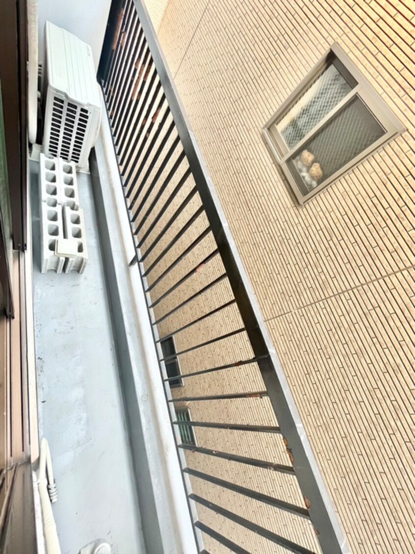 ベランダ・バルコニー ポインセチア