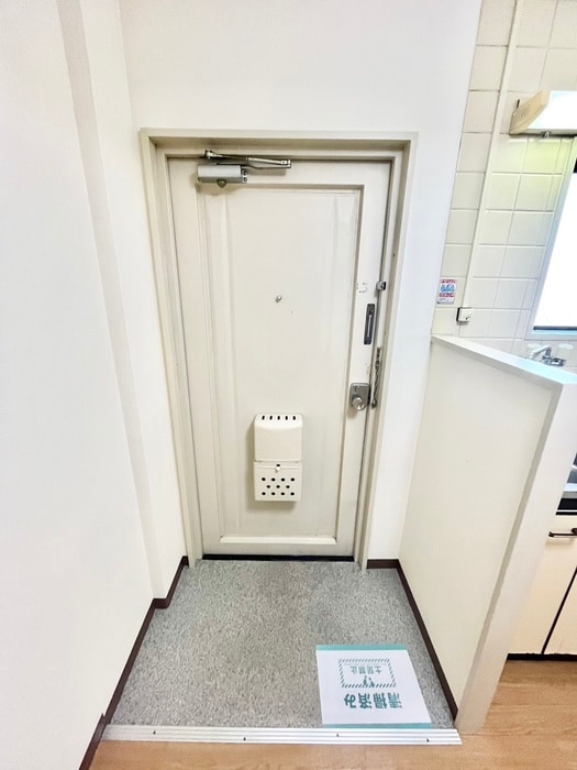 玄関 ポインセチア