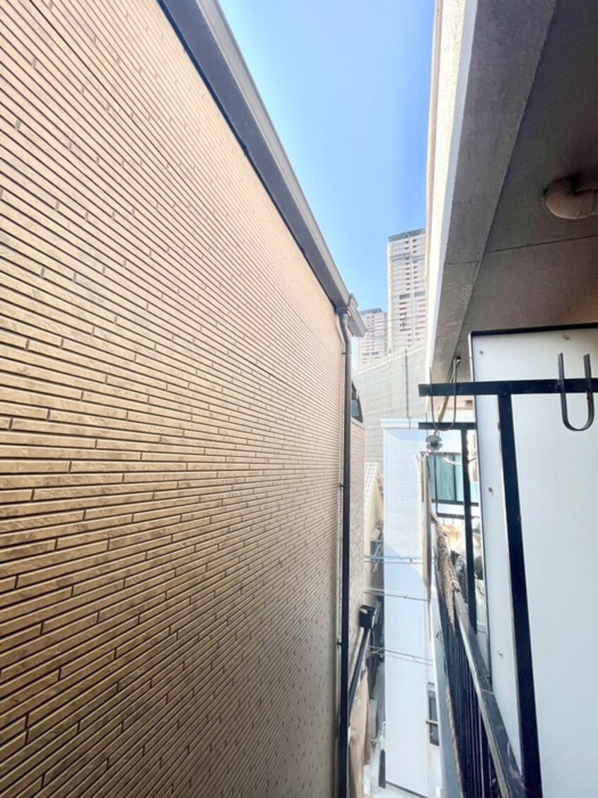 室内からの展望 ポインセチア