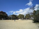 御代開公園(公園)まで320m ＭＯＮＡＳＯ甲子園口