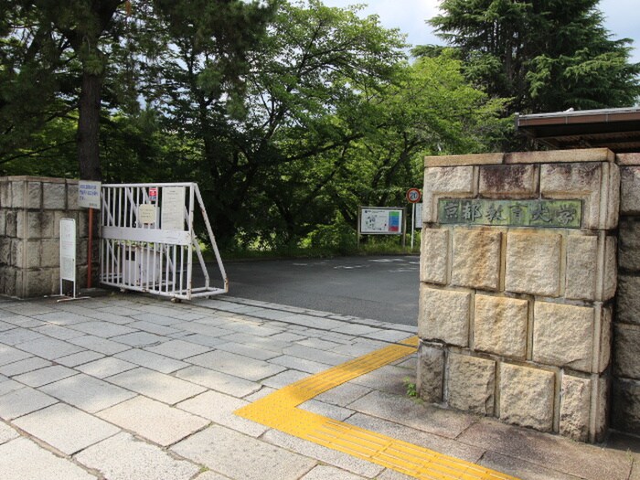 京都教育大学(大学/短大/専門学校)まで450m セジュールオッツ　Fujinomori