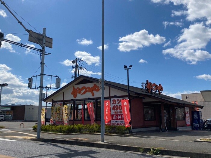 かつや(その他飲食（ファミレスなど）)まで3100m フジパレス西大路