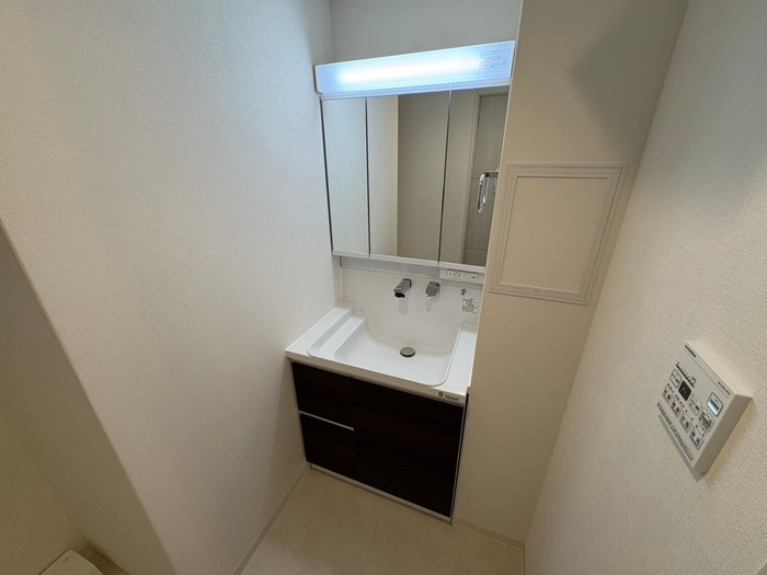 洗面 ディエスベアティ久宝寺口