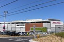 イオンモール(ショッピングセンター/アウトレットモール)まで1100m クレメント岡山