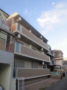 その他 リブゴ－シュ太子橋