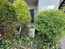 グリ－ンピア中川Ⅱ号館の外観
