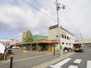 サンフレッシュ(スーパー)まで400m グリ－ンピア中川Ⅱ号館
