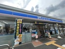 ローソン(コンビニ)まで224m ベヌスタ丸橋