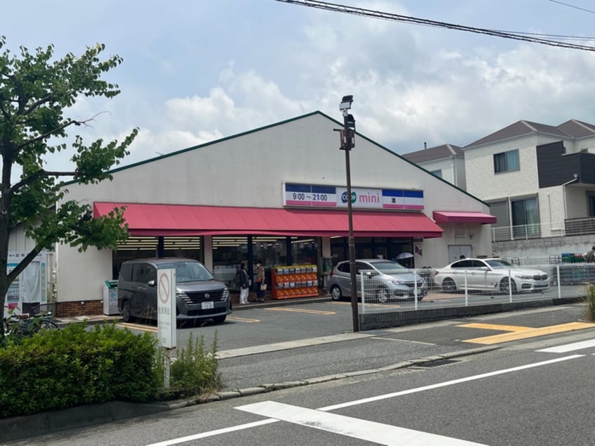 コープミニ(スーパー)まで257m ベヌスタ丸橋