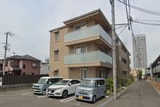 アムール旭