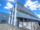 レクエルド藤