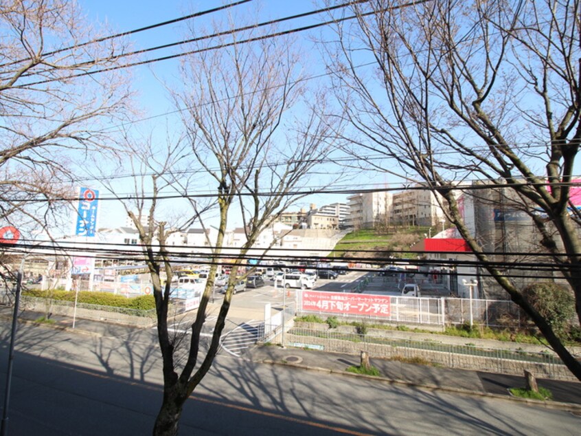 室内からの展望 サンハイム杉林