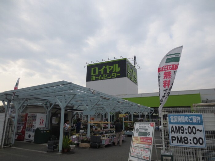 ロイヤルホームセンター物集女(電気量販店/ホームセンター)まで300m ホームズネオ桂