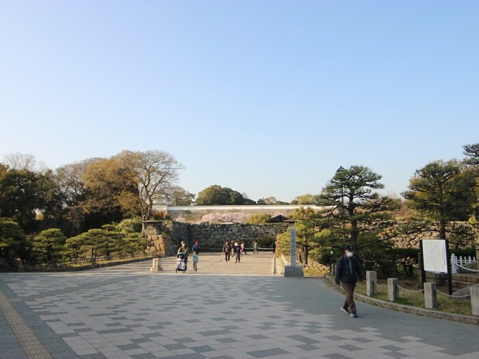 明石公園(公園)まで1200m ドミシル・イマモリ