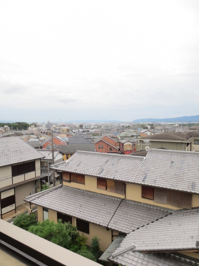 室内からの展望 シュシュパルク鹿苑