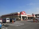 トップワールド楠葉店(スーパー)まで820m 楠葉中町借家