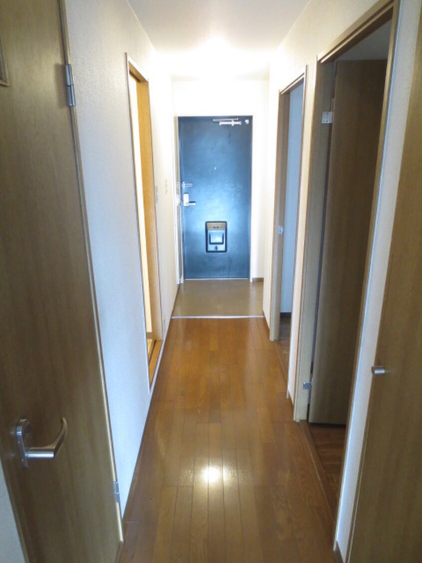 廊下 ＩＳＭ大阪城公園（南棟）　