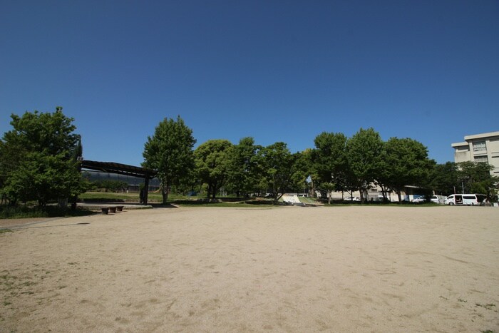 野田中央公園(公園)まで290m エレメンタリ－プレイス