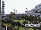 馬場記念病院(病院)まで350m マンションミカ