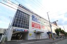 エディオン(電気量販店/ホームセンター)まで1000m ブリーズ西北