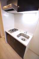 キッチン ｴｽﾃﾑｺｰﾄ中之島GATEⅡ(502)