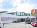 業務スーパー(ディスカウントショップ)まで3300m エクシアパーム弐番館