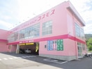 コスモスドラッグ(ディスカウントショップ)まで3400m エクシアパーム弐番館