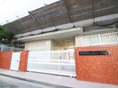 南田辺小学校(小学校)まで192m 橋本ハイツ