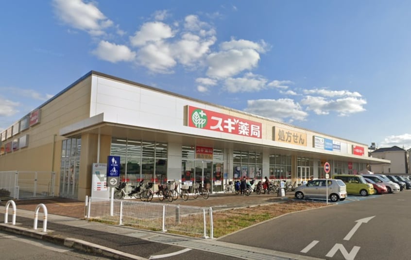 スギ薬局(ドラッグストア)まで600m サザンドエル