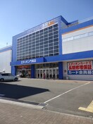 エディオン 門真店(電気量販店/ホームセンター)まで790m クリエオーレ野里