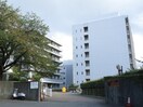 神戸大学(大学/短大/専門学校)まで930m ロジュマン六甲
