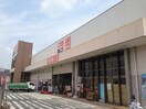 デポプロ(電気量販店/ホームセンター)まで800m ビレッジハウス宮の前６号棟