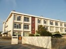 緑が丘東小学校(小学校)まで1200m パークハイム七番館