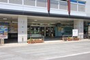 フレスコ桂駅東口店(スーパー)まで750m 桂上豆田町貸家２