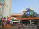 コープリビング(電気量販店/ホームセンター)まで420m ラ・セ－ヌ本山