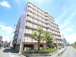 ﾗ･ﾊﾟﾙﾌｪ･ﾄﾞ･ﾊﾟﾗﾂｨｰﾅ(329)