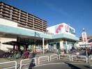 万代旭高殿店(スーパー)まで350m グリ－ンプラザ大宮