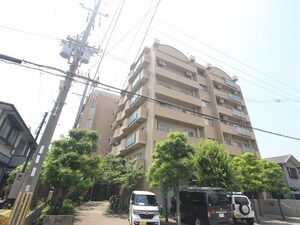 芦屋親王塚ヴォーン(602)