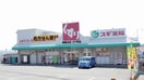 スギ薬局(ドラッグストア)まで650m ささお弐番館
