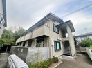 カリンの外観