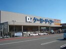 ケーヨーデイツー(電気量販店/ホームセンター)まで350m 山手ハイツ