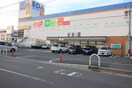 エディオン(電気量販店/ホームセンター)まで200m ボン・ボニエ－ル