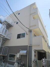 アニス