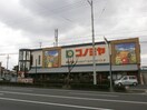 コノミヤ(スーパー)まで1100m ブル－スカイ山宗