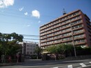 私立大阪電気通信大学 寝屋川キャンパス(大学/短大/専門学校)まで944m フラワ－ハイツ