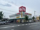 スギ薬局西宮市中前田店(ドラッグストア)まで800m フジパレス西宮西福町