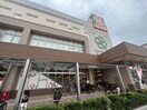 ライフ西宮北口店(スーパー)まで450m フジパレス西宮西福町