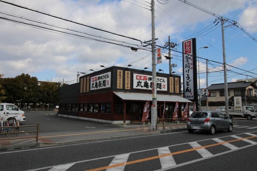 丸亀製麺(その他飲食（ファミレスなど）)まで300m ルミウス８８