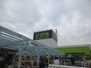 ロイヤルホームセンター物集(電気量販店/ホームセンター)まで800m ヴェルデュ－ル