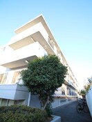 SAドームの外観